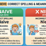 Naive or Nieve: Correct Spelling & Meaning Explained