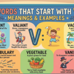 Words That Start With V: Lists, Meanings & Examples
