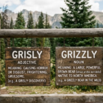 Grisly vs Grizzly: What’s the Difference?