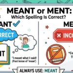 Meant or Ment: Which Spelling Is Correct?