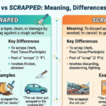Scraped vs Scrapped: Meaning, Differences & Examples