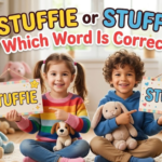 Stuffie or Stuffy Which Word Is Correct